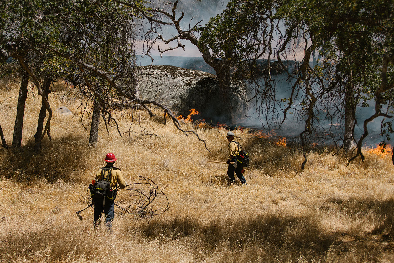 Incendios forestales consejos para prevenirlos y proteger nuestro entorno